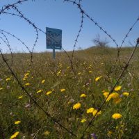 IMG_20241219_213844_011