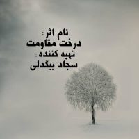Negar_۲۰۲۵۰۱۱۴_۲۳۵۴۲۷
