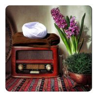 photo_2024-11-20_12-55-25-5